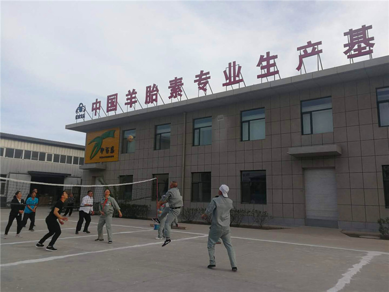 銀川伊百盛生物工程有限公司 銀川伊百盛生物工程有限公司