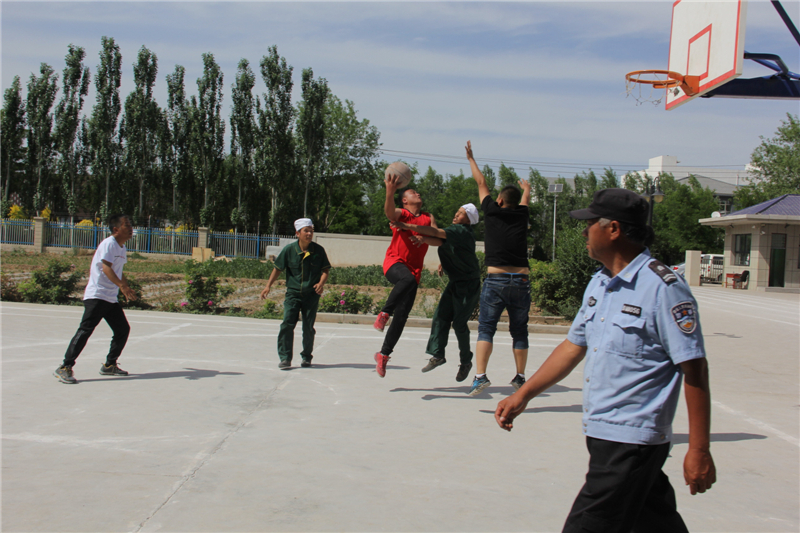 銀川伊百盛生物工程有限公司 銀川伊百盛生物工程有限公司