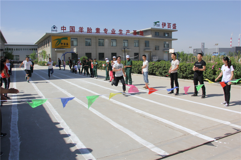 銀川伊百盛生物工程有限公司 銀川伊百盛生物工程有限公司