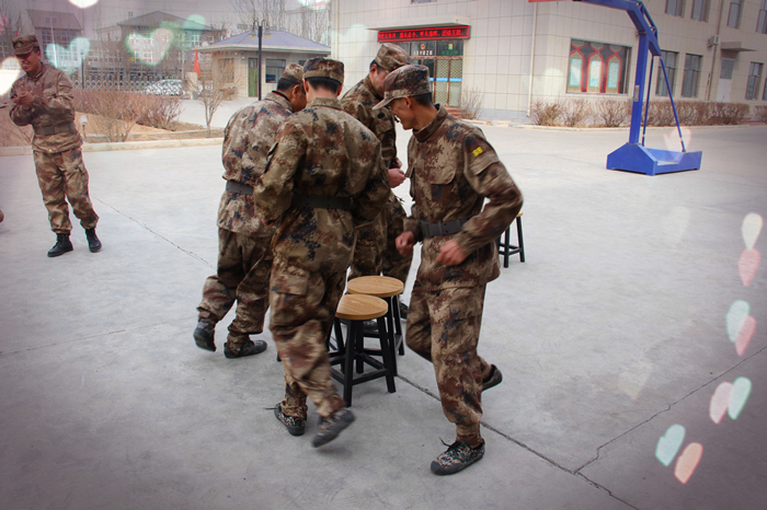 銀川伊百盛生物工程有限公司 銀川伊百盛生物工程有限公司