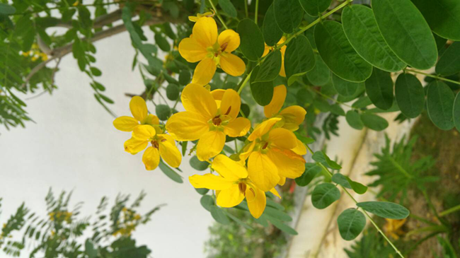 銀川伊百盛生物工程有限公司 銀川伊百盛生物工程有限公司