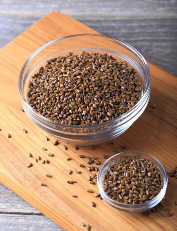 銀川伊百盛生物工程有限公司 銀川伊百盛生物工程有限公司