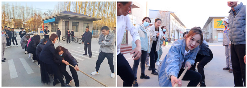 銀川伊百盛生物工程有限公司 銀川伊百盛生物工程有限公司