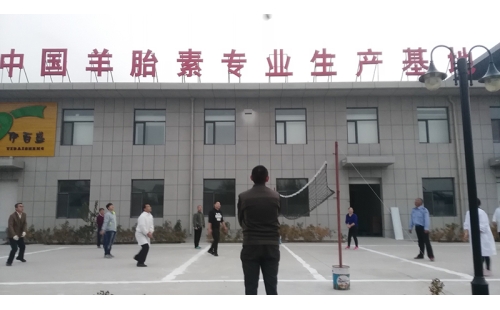 排球傳溫情，員工齊聚心