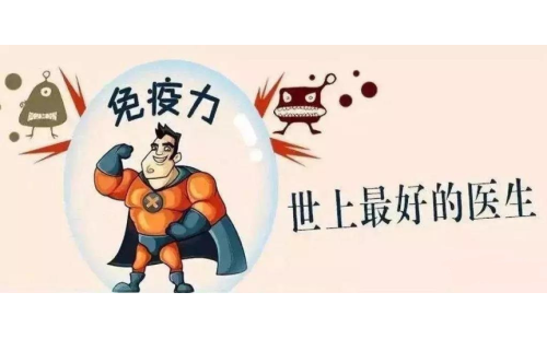 抗擊新型冠狀病毒，真正的“特效藥”是自身的免疫力！