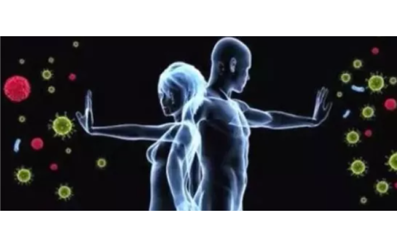 為什么補的是肽而不是氨基酸？