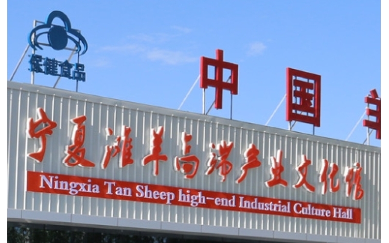 羊胎素的作用原理、功效和使用禁忌